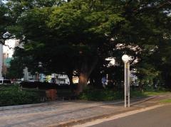 「小町」バス停留所