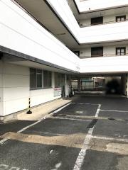 中央整体院
