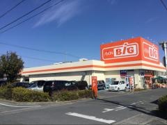 ザ・ビッグ　浜松萩丘店