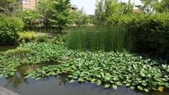 石金夢の森公園