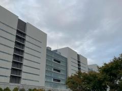 Ｃｈｏｒｄｉａ　Ｔｈｅｒａｐｅｕｔｉｃｓ　株式会社
