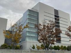 Ｃｈｏｒｄｉａ　Ｔｈｅｒａｐｅｕｔｉｃｓ　株式会社