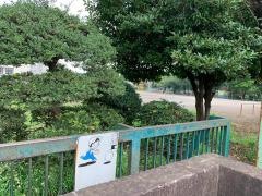 柳瀬小学校