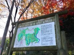 飯山白山森林公園