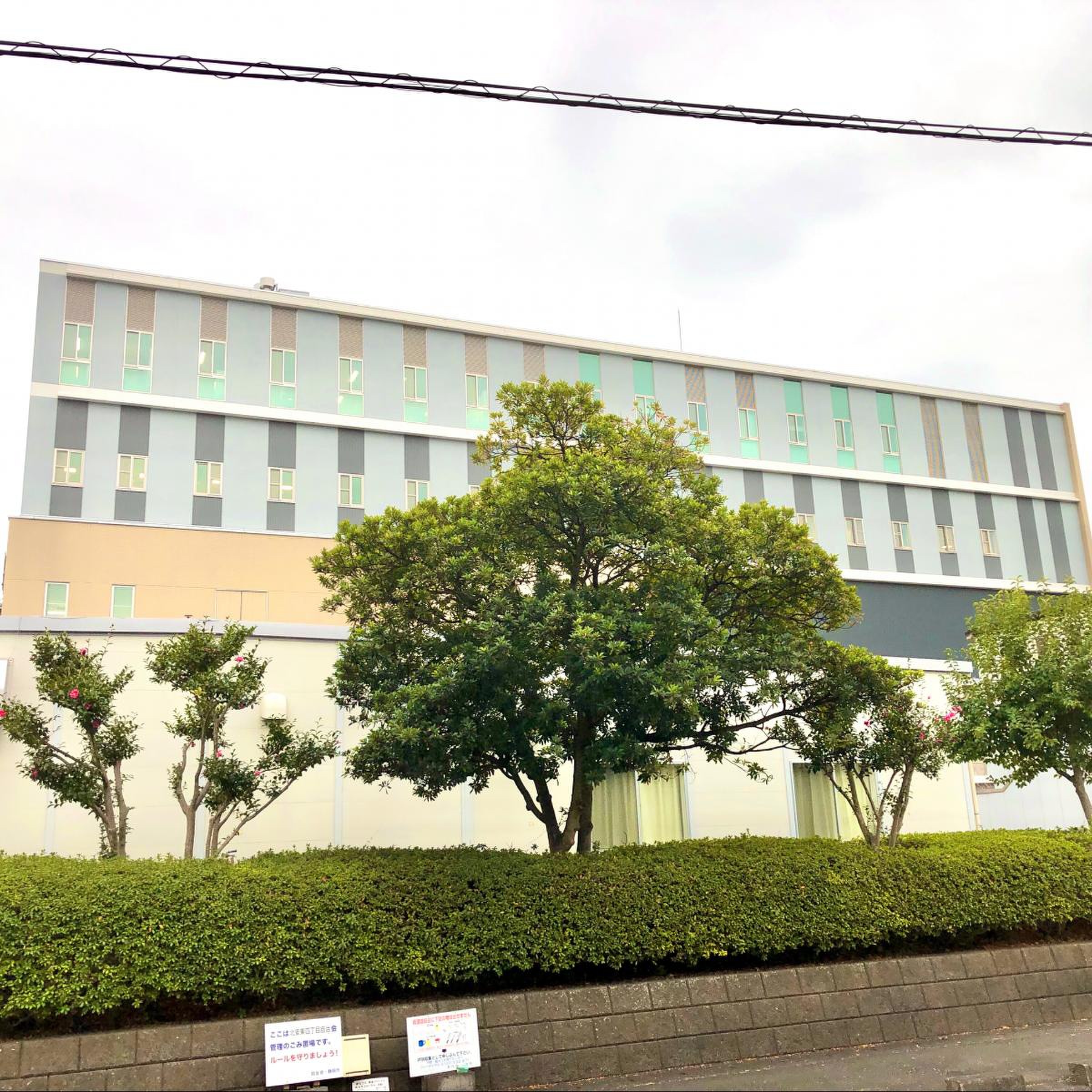 公の場での発言・インタビュー報道記録