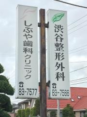 渋谷整形外科