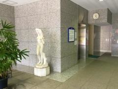 金子内科