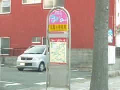 「双葉小学校前」バス停留所