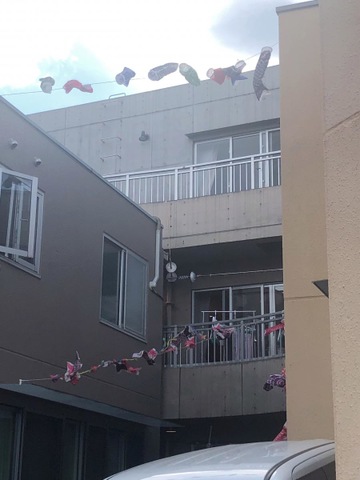 サンより処ぬくみくるみ