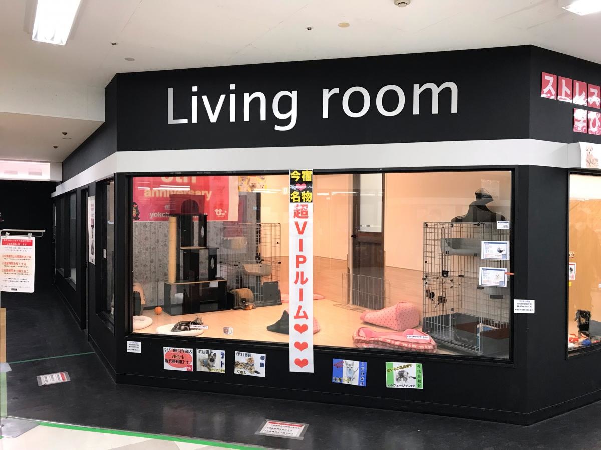 施設外観