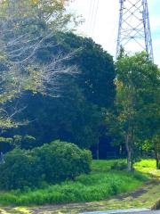 春日緑地公園
