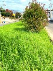 春日緑地公園