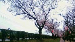 常願寺川公園