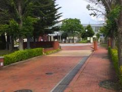 佐久大学