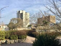 奥山公園