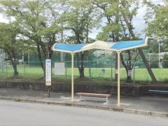 「青山幼稚園前」バス停留所