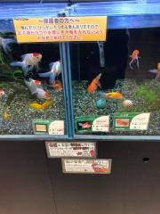 ペッツワン　東大阪店