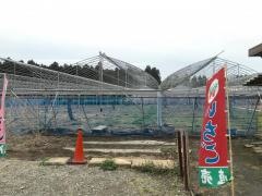 小谷野果樹園