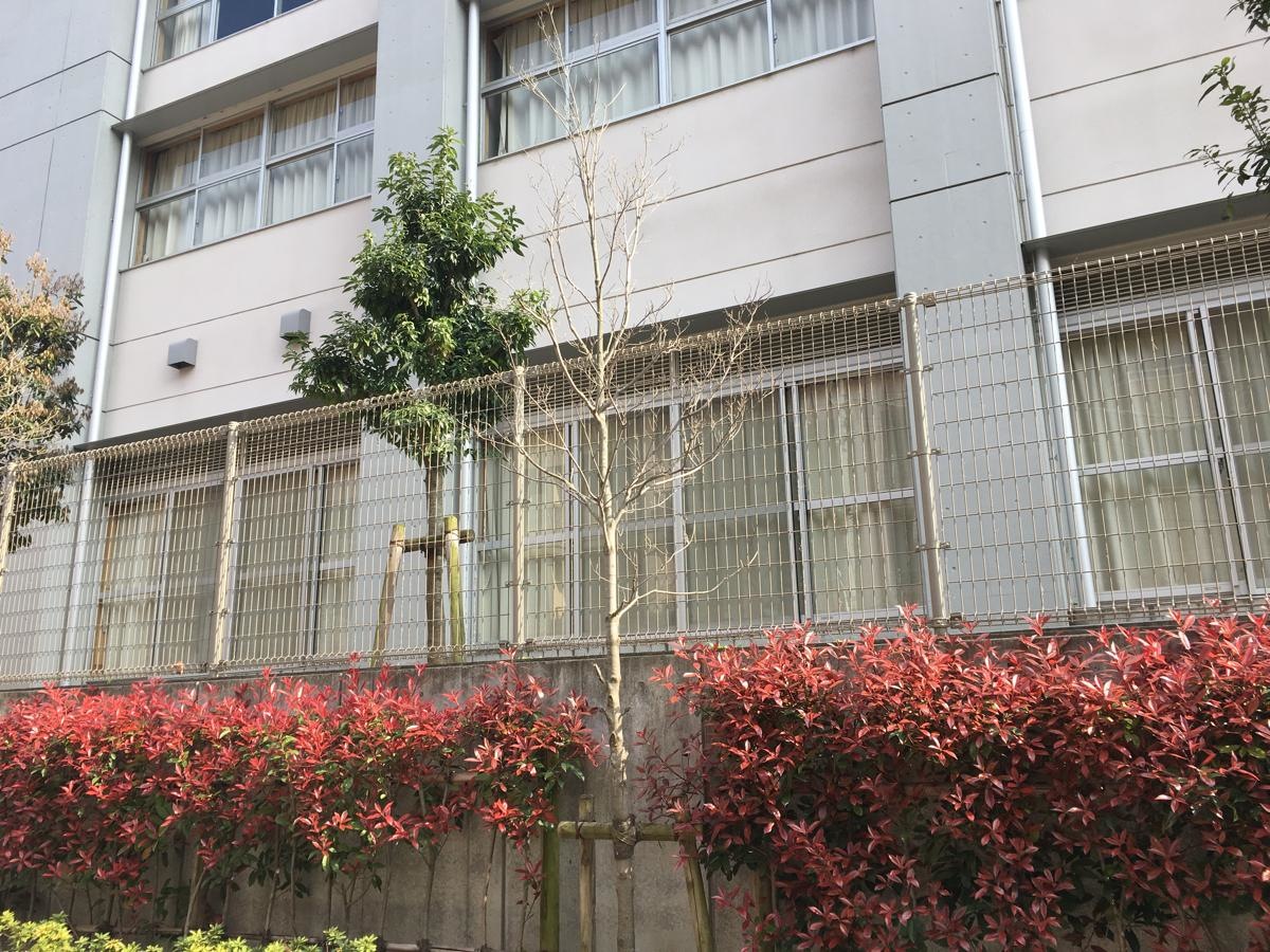 板橋第三中学校