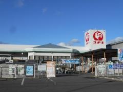 コメリハード＆グリーン　おがせ店