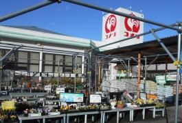 コメリハード＆グリーン　おがせ店
