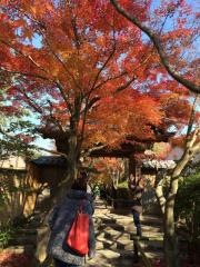 光悦寺