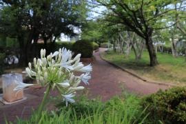 大野西山第1緑道