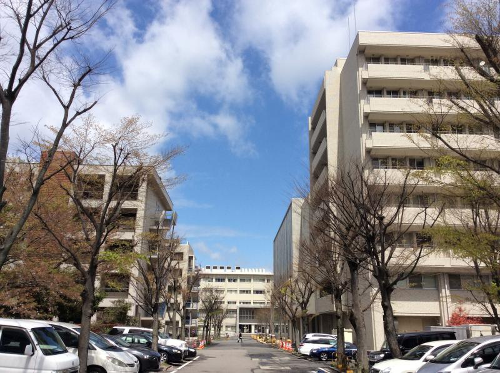 公の場での発言・インタビュー報道記録