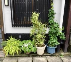 いとはん