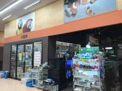 セルバス幕張店