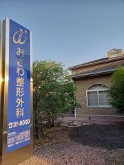 おざわ整形外科