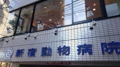 新宿動物病院