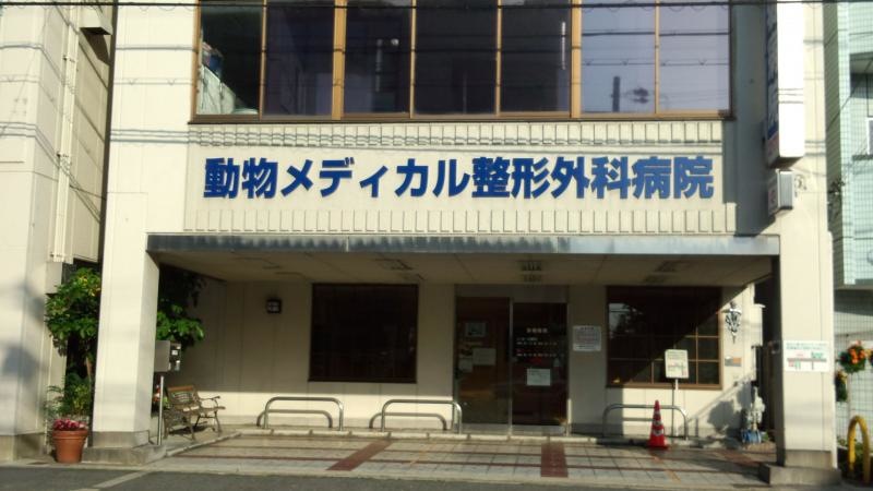 入口です。