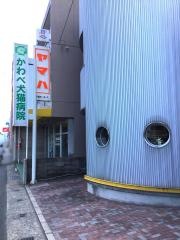 かわべ犬猫病院