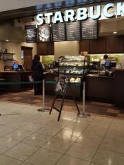 スターバックスコーヒー　ウィング上大岡店