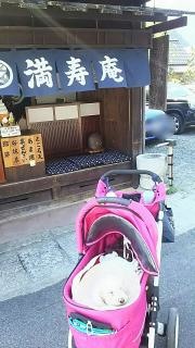 えのき坂
