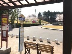 「芸術の森公園」バス停留所