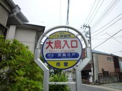 「大鳥入口」バス停留所