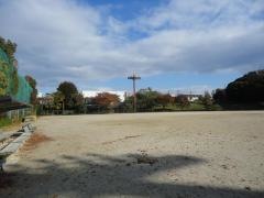 新海池公園野球場