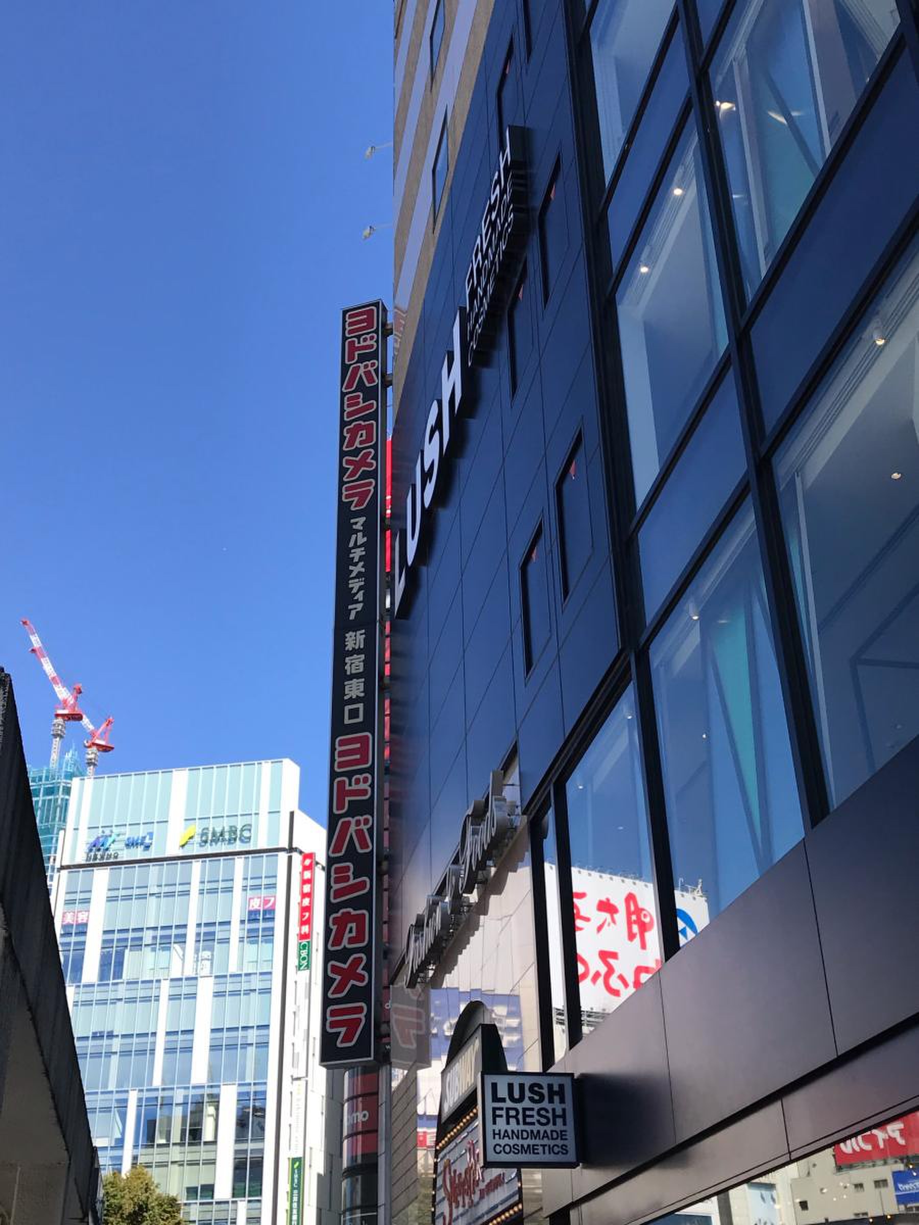 ヨドバシカメラ マルチメディア新宿東口／ホームメイト
