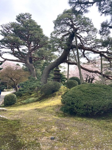 施設写真41