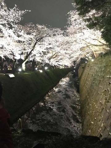 施設写真919