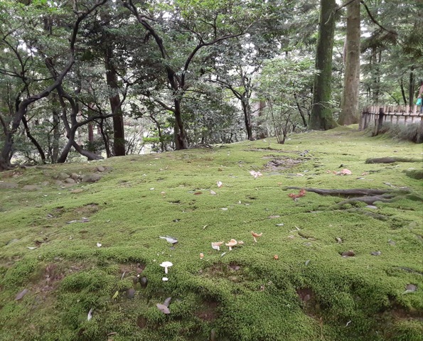 施設写真401
