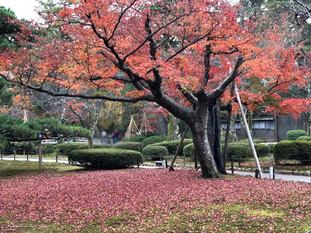 施設写真517