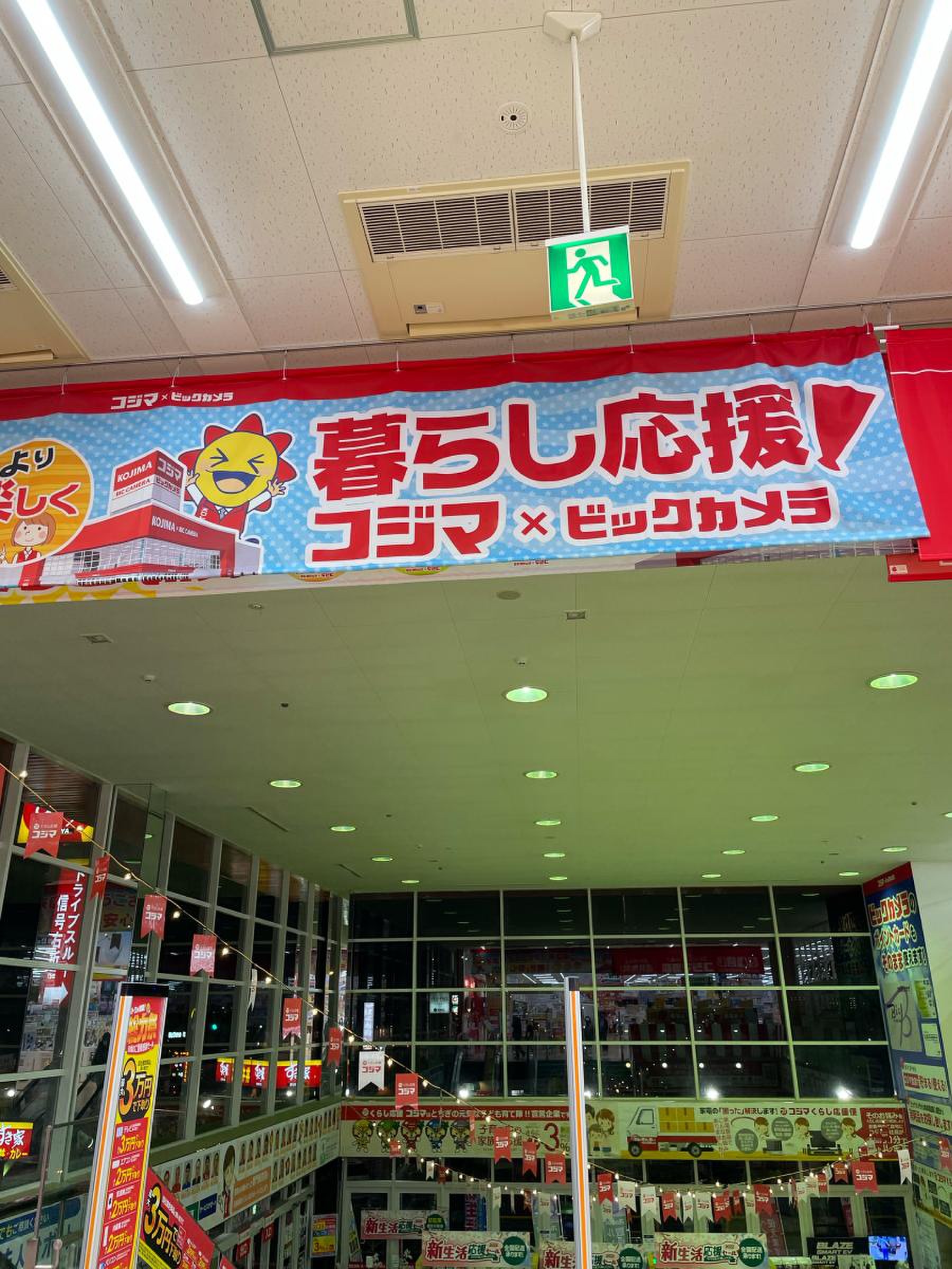 活動歴および当時の関連ビジュアル記録