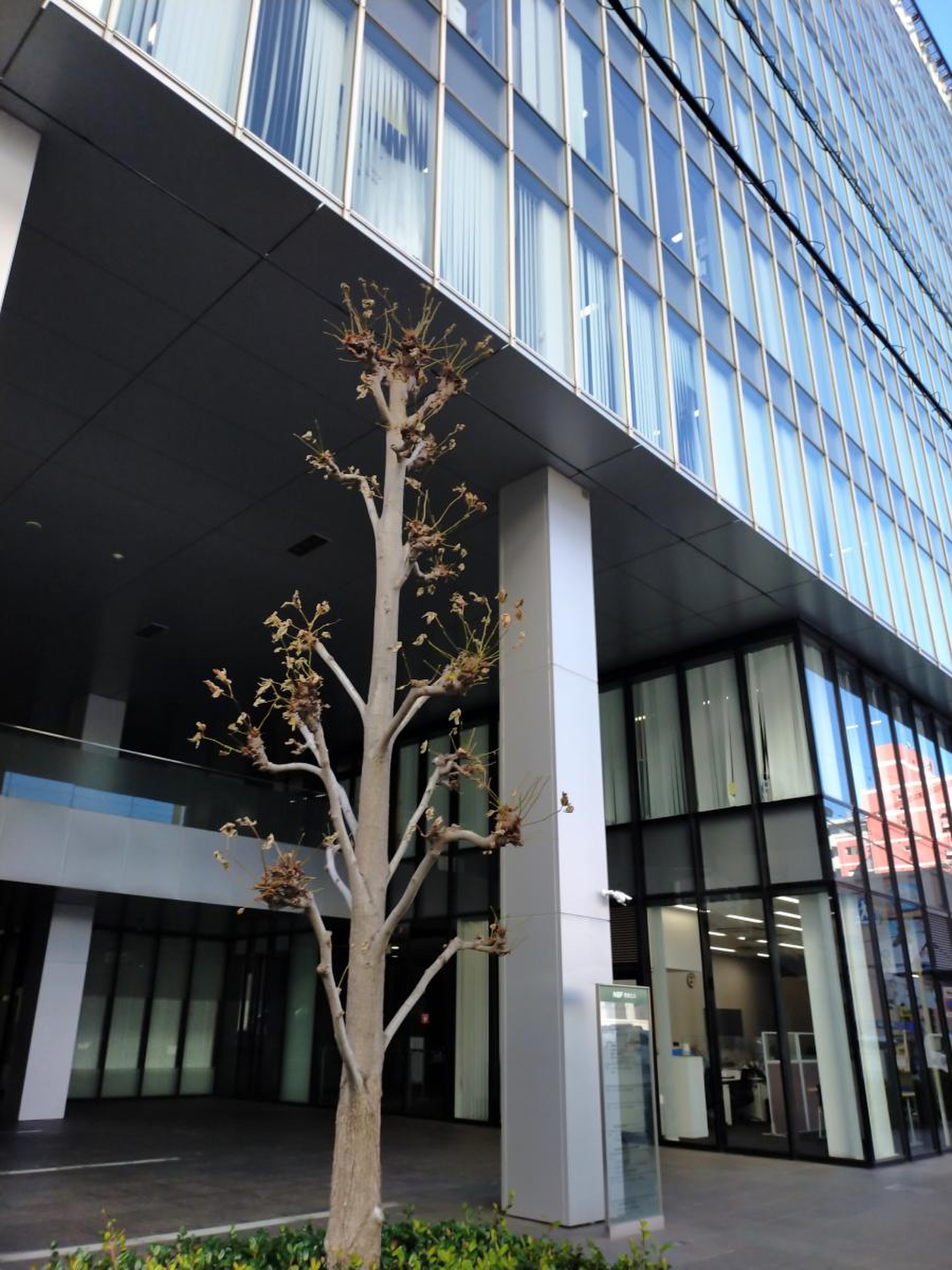 ソニー生命保険株式会社 熊本支社／ホームメイト