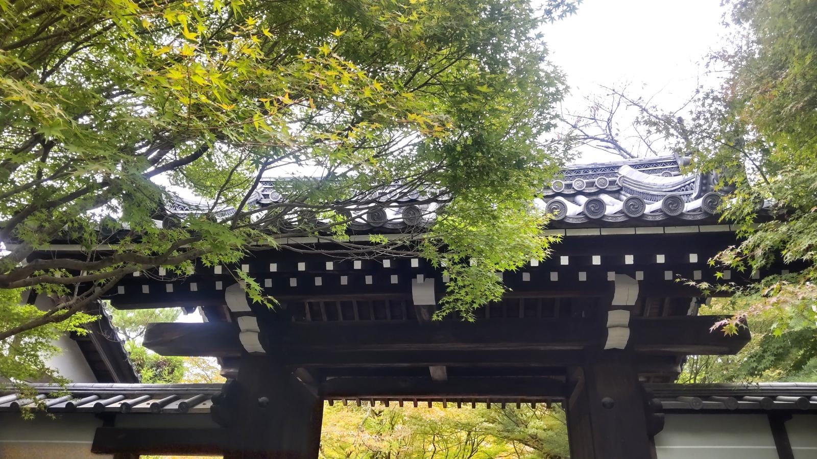 龍安寺