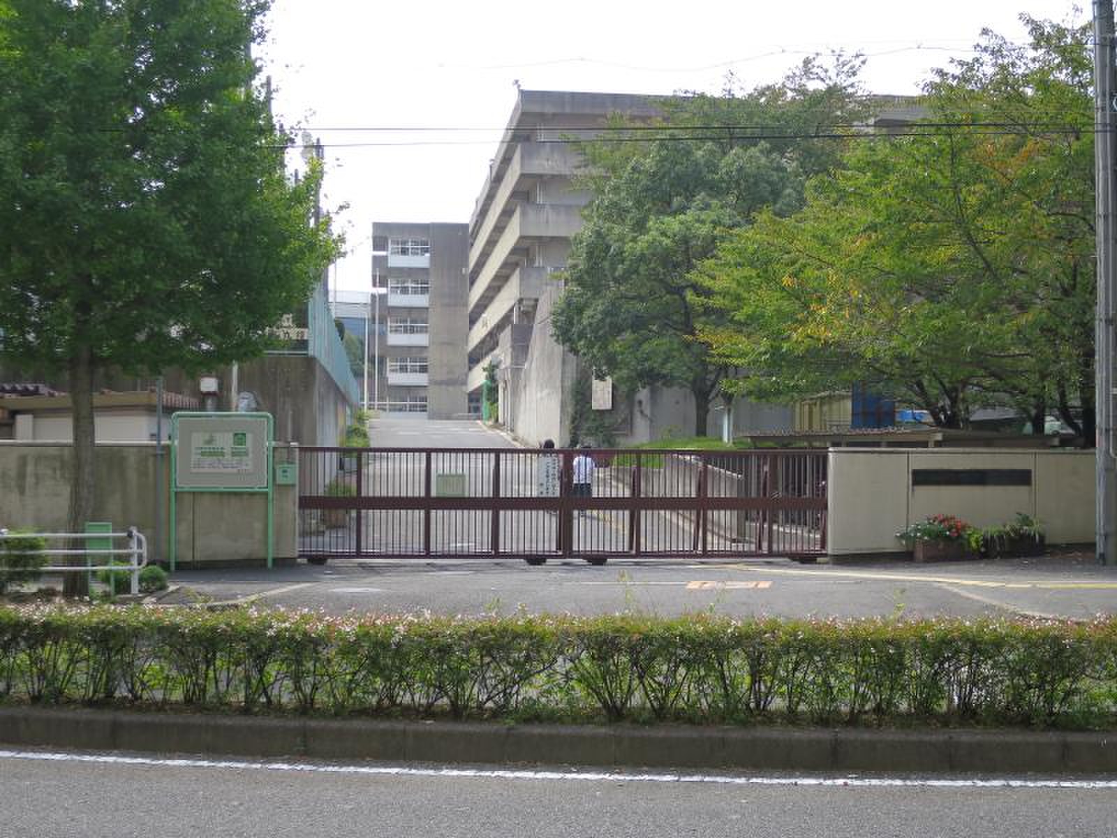 佐井 寺 中学