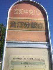 「音江分岐点」バス停留所