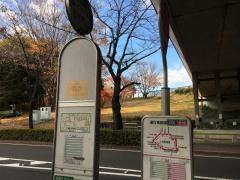 「日大練馬光が丘病院」バス停留所